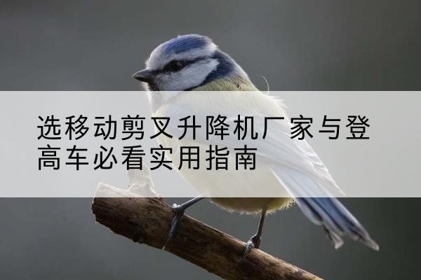 临潼电动升降机厂家-选移动剪叉升降机厂家与登高车必看实用指南