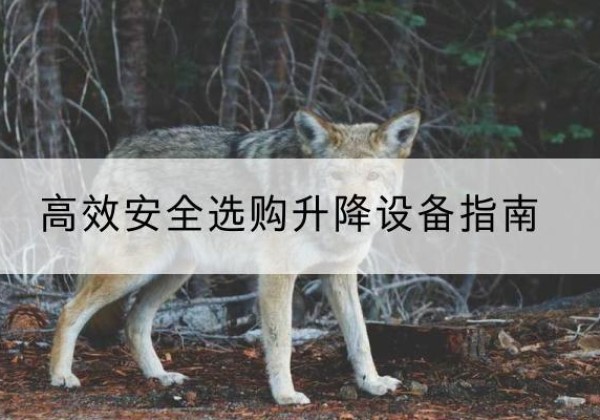 临潼升降货梯厂家推荐-*安全选购升降设备指南
