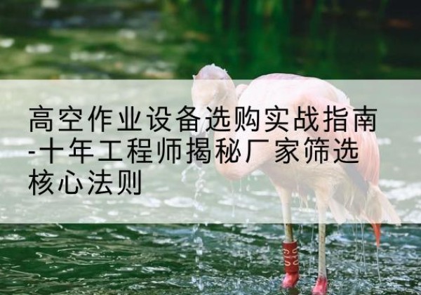 临潼剪叉式升降机厂家-高空作业设备选购实战指南-十年工程师揭秘厂家筛选核心法则